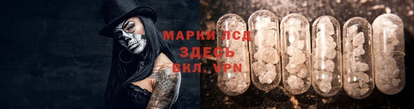 молекула духа Арсеньев