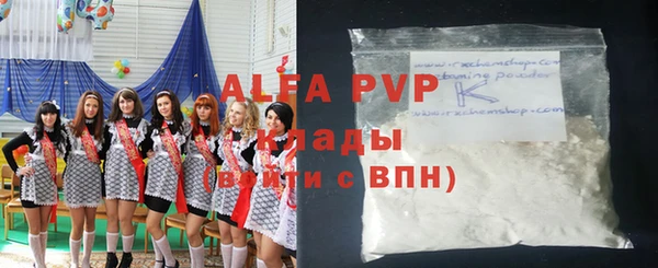молекула духа Арсеньев