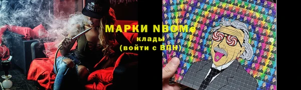 молекула духа Арсеньев