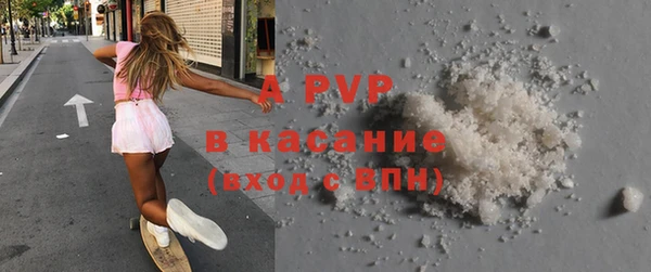 молекула духа Арсеньев