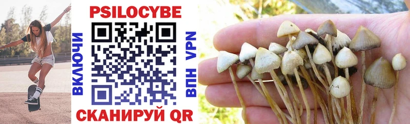 Галлюциногенные грибы Magic Shrooms  Темников 